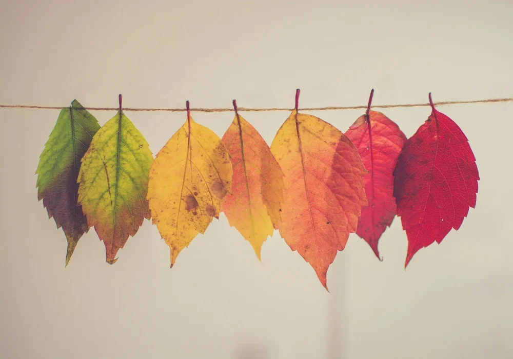 changement-heure